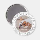 Aimant Mémorial des animaux de compagnie toujours dans no (Recto/Verso)