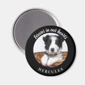 Aimant Memorial noir photo love dog (Recto/Verso)