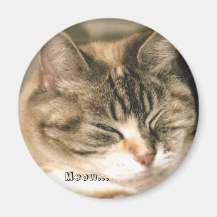 Aimant Meow…