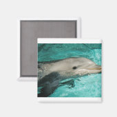 Aimant Mer Bleue Dophin (Recto/Verso)