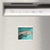 Aimant Mer Bleue Dophin (In Situ (Lave-vaisselle))