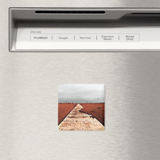 Aimant Mer d'hiver (In Situ (Lave-vaisselle))