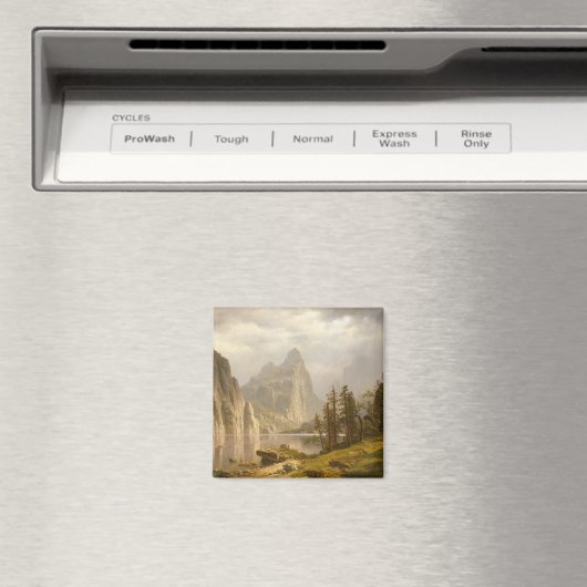 Aimant Merced River (In Situ (Lave-vaisselle))