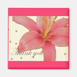 Aimant Merci de lentilles hybrides