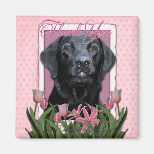 Aimant Merci - Labrador - Noir - Gaz (Devant)