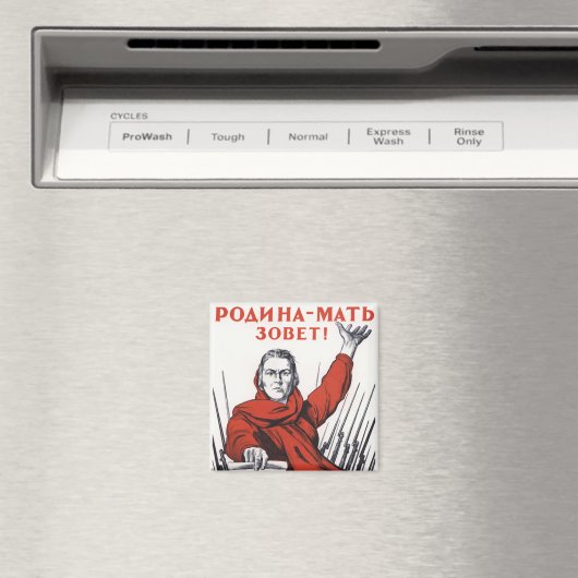 Aimant Mère (In Situ (Lave-vaisselle))