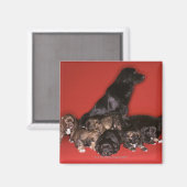 Aimant Mère chien avec chiots (Recto/Verso)