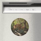 Aimant Mère et bébé cerf au Parc national de Shenandoah (In Situ (Lave-vaisselle))