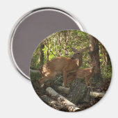 Aimant Mère et bébé cerf au Parc national de Shenandoah (Recto/Verso)