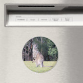 Aimant Mère Kangaroo avec bébé Joey dans sa poche (In Situ (Lave-vaisselle))