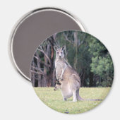 Aimant Mère Kangaroo avec bébé Joey dans sa poche (Recto/Verso)