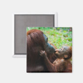 Aimant Mère orang-outan avec bébé (Recto/Verso)