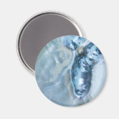 Aimant Mère perle malaisienne sauvage (Recto/Verso)