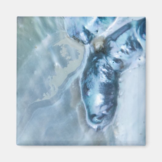 Aimant Mère perle malaisienne sauvage (Devant)