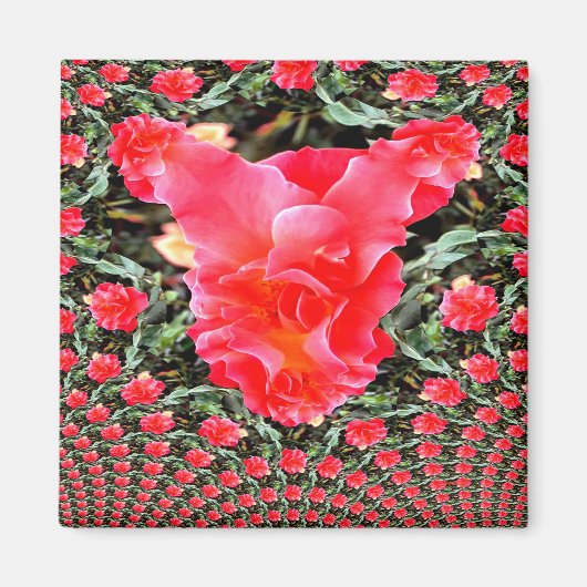 Aimant Mère Rose écoute...... (Devant)