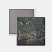 Aimant Mère Tigre du Bengale avec petit (Recto/Verso)