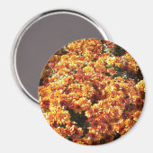 Aimant Mères d'automne (Recto/Verso)