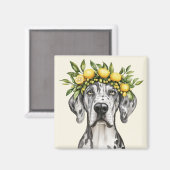 Aimant Merle Great Dane Chien Lemon Crown (Recto/Verso)