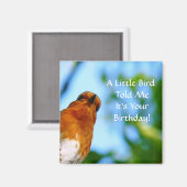 AIMANT MERLES (Recto/Verso)