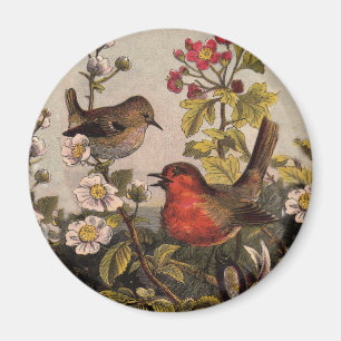 Aimant Merles de printemps Oiseaux rouges Ornithologie
