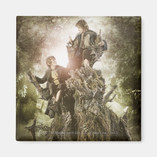 Aimant Merry and Peregrin on Treebeard (Devant)