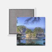 Aimant Mers, Terres tribales de la nation Makah, Cap (Recto/Verso)