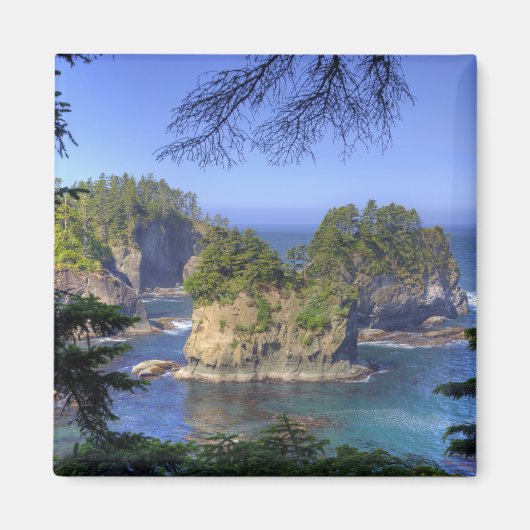 Aimant Mers, Terres tribales de la nation Makah, Cap (Devant)