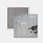 Aimant Merveilleux Long Beach Magnet! (Recto/Verso)