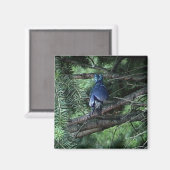 Aimant mes affaires3 013 (Recto/Verso)