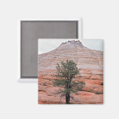 Aimant Mesa en damier (Recto/Verso)