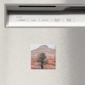 Aimant Mesa en damier (In Situ (Lave-vaisselle))