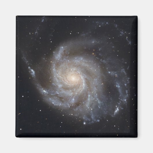 Aimant Messier 101, la galaxie Pinwheel (Devant)