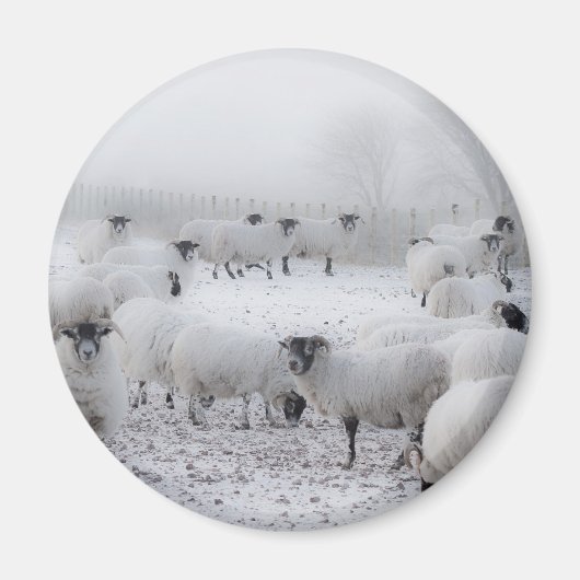 Aimant Météo incorrecte (Devant)