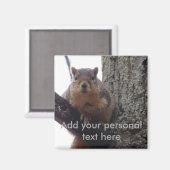 Aimant Mettez cet écureuil sur votre frigo (Recto/Verso)