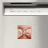 Aimant mettre en accusation Trump (In Situ (Lave-vaisselle))