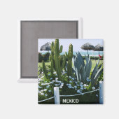 AIMANT MEXICO CACTI (Recto/Verso)