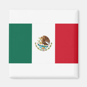 Aimant Mexico Flag