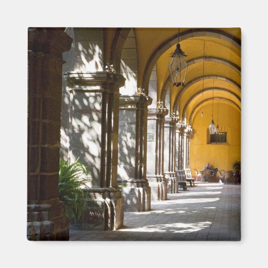 Aimant Mexique, Etat de Guanajuato, San Miguel de Allende (Devant)