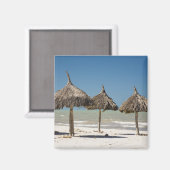 Aimant Mexique, péninsule du Yucatan, Progreso. Chaume (Recto/Verso)