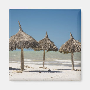 Aimant Mexique, péninsule du Yucatan, Progreso. Chaume
