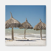 Aimant Mexique, péninsule du Yucatan, Progreso. Thatch (Devant)