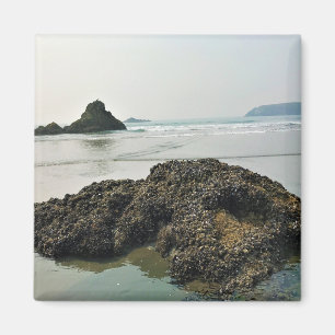 Aimant Meyers Beach North, Gold Beach, Oregon