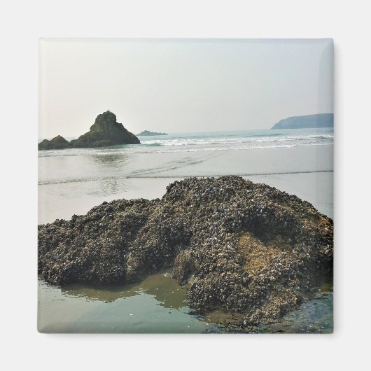 Aimant Meyers Beach North, Gold Beach, Oregon (Devant)