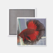 Aimant Mi-lune de papillon rouge/noir (Recto/Verso)