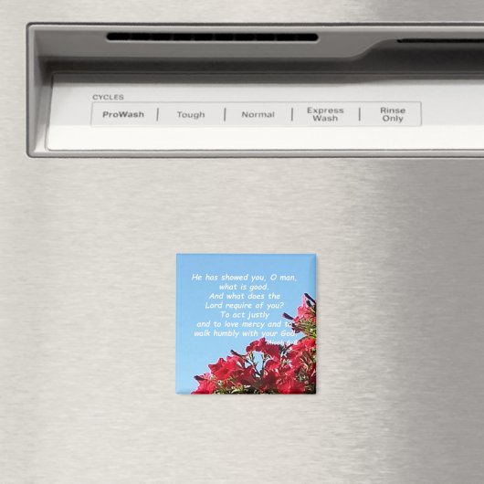 Aimant Micah 6:8 (In Situ (Lave-vaisselle))