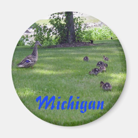 Aimant Michigan Ducklings (Devant)