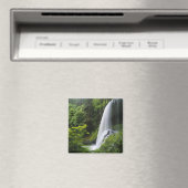 Aimant Middle North tombe, Silver Falls State Park, (In Situ (Lave-vaisselle))