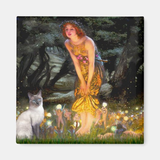 Aimant MidEve - Chat siamois bleu point (Devant)