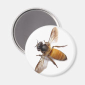 Aimant Miel Bee (Recto/Verso)
