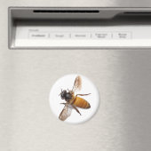 Aimant Miel Bee (In Situ (Lave-vaisselle))